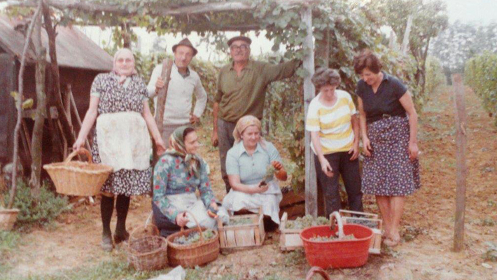 familyhistory2