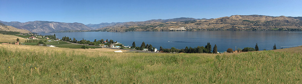 noviello-vineyards-panoramic-2