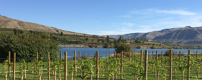 winery