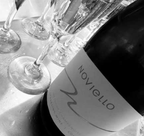 Noviello Wine Tasting Session