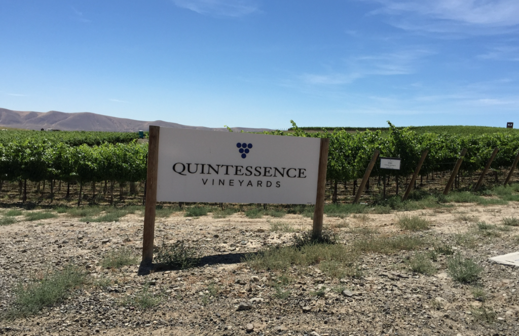 Quintessance Vineyards